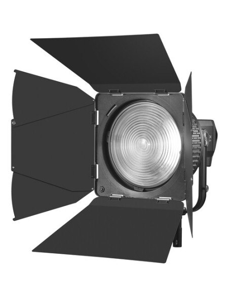 Viseras LB-02 para Fresnel FLS10: 8 aletas | Godox Spain
